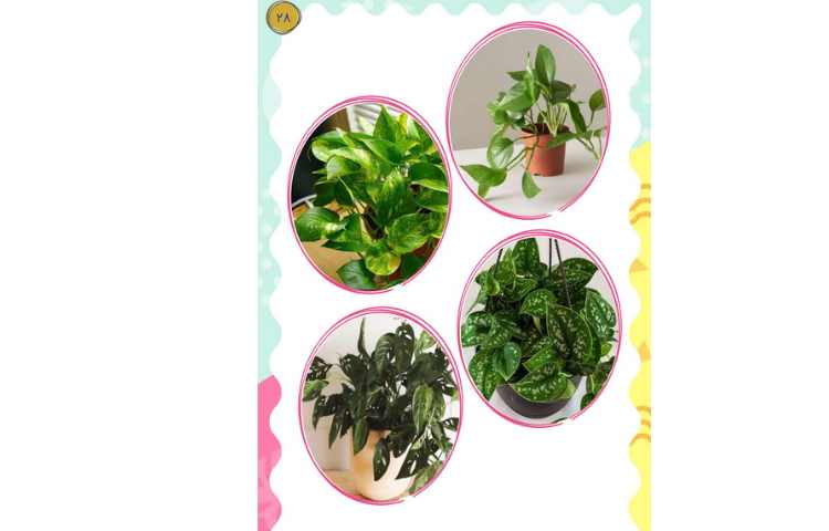 مجله قاصدک شماره 1 28