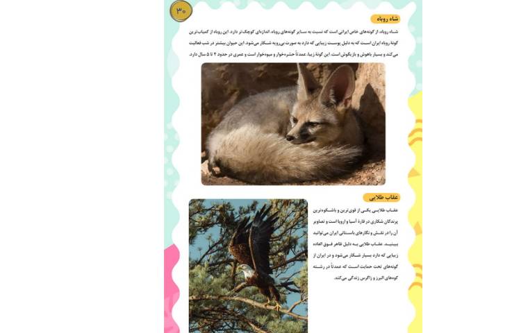 مجله قاصدک شماره 1 30