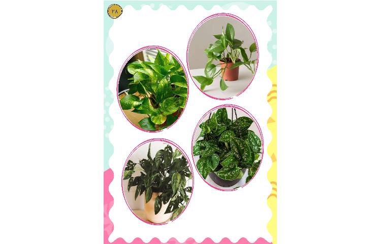 مجله قاصدک 28