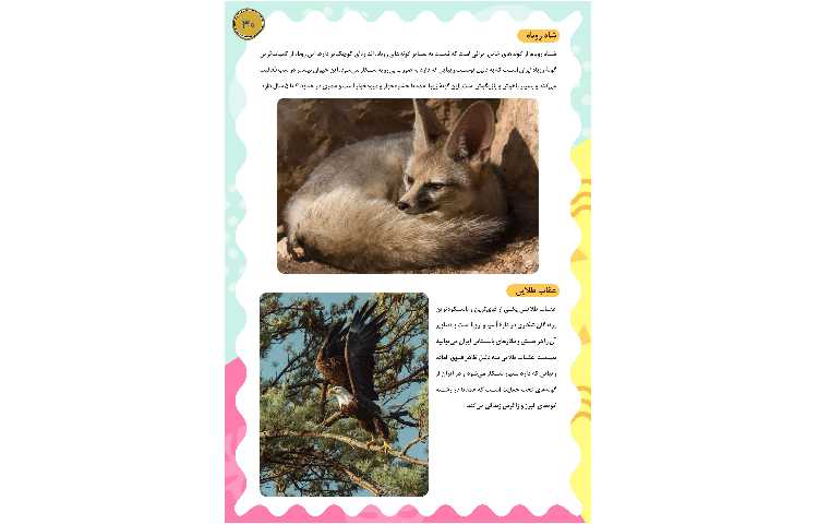 مجله قاصدک 30