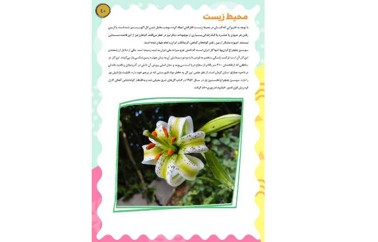 مجله قاصدک 40