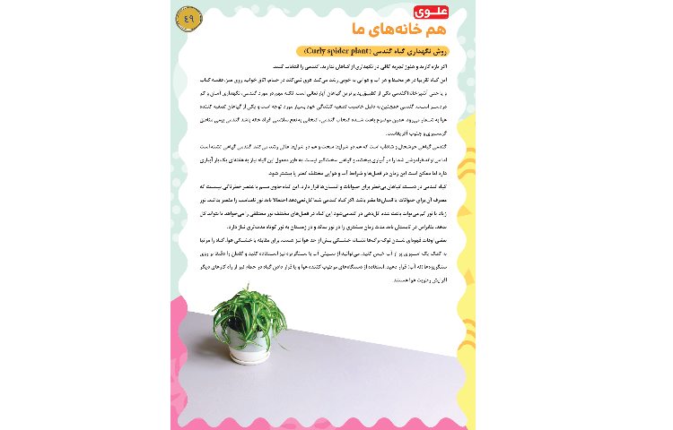 مجله قاصدک 49