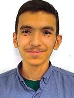 محمدامین محمدی