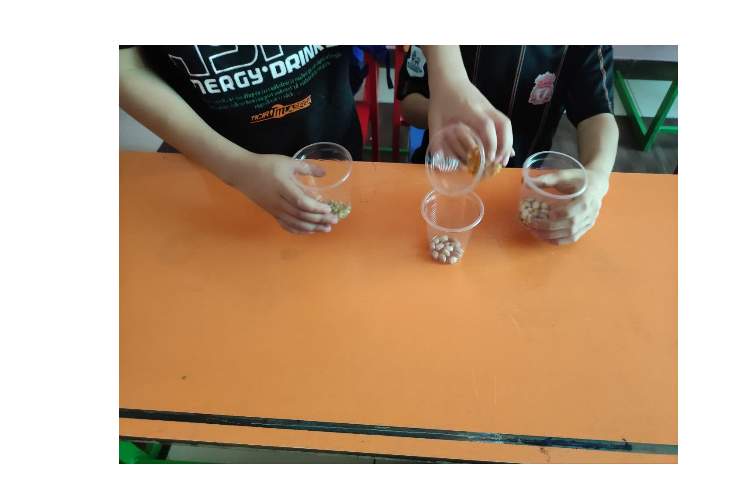 مخلوط های غیریکنواخت 1