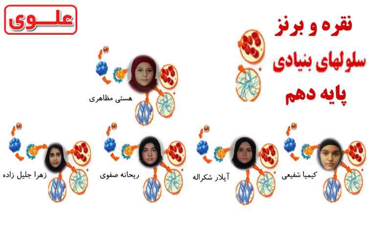 مدال نقره و برنز سلول های بنیادی 1