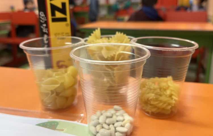 مراحل رشد پروانه( دستان توانا) 1