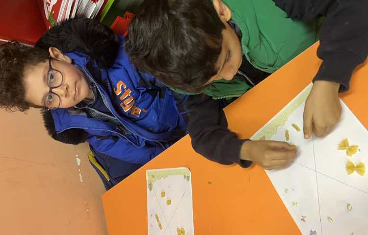 مراحل رشد پروانه( دستان توانا) 3