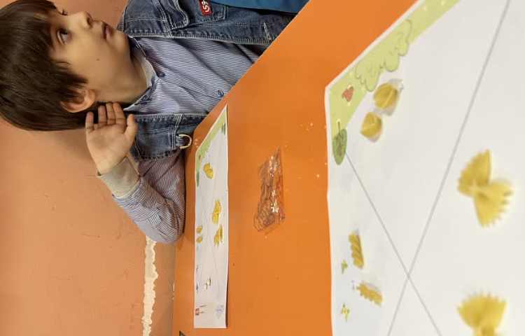 مراحل رشد پروانه( دستان توانا) 4