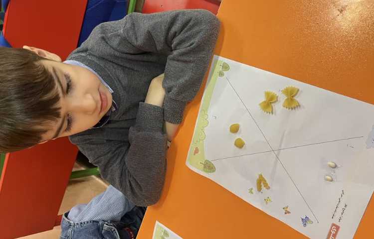 مراحل رشد پروانه( دستان توانا)