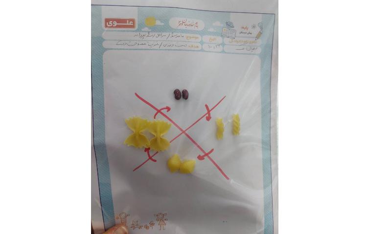 مراحل رشد پروانه 1