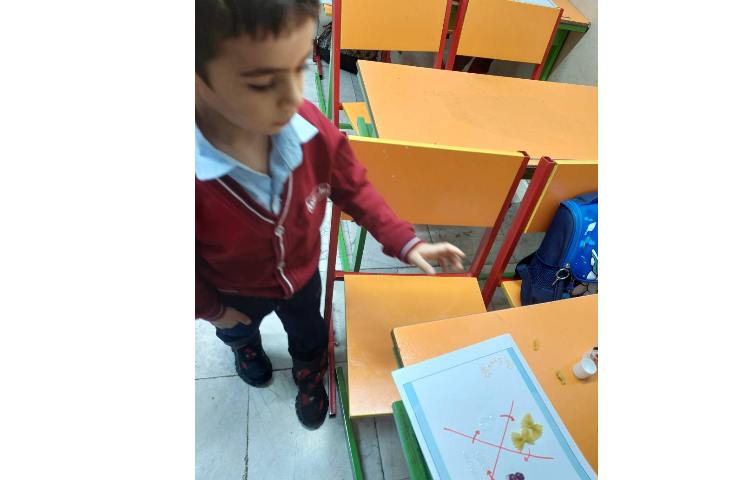 مراحل رشد پروانه 3