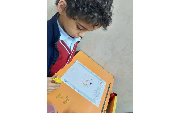 مراحل رشد پروانه 4