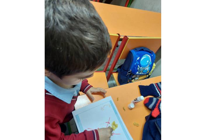 مراحل رشد پروانه 5