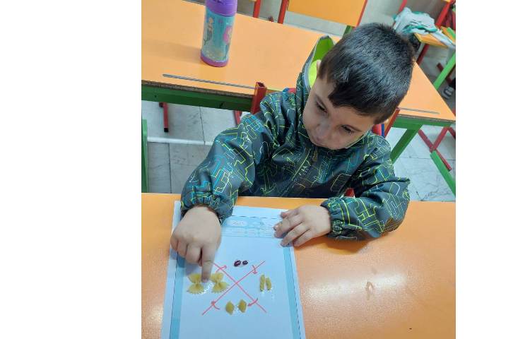 مراحل رشد پروانه 6