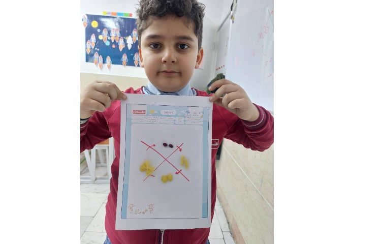 مراحل رشد پروانه 7