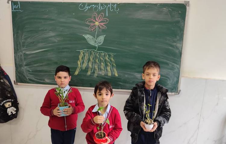 مراحل رشد گیاه لوبیا درس علوم