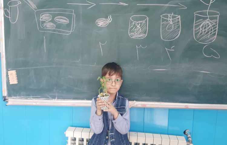 مراحل رشد گیاه همراه با دیدن قسمت مختلف گیاه واقعی