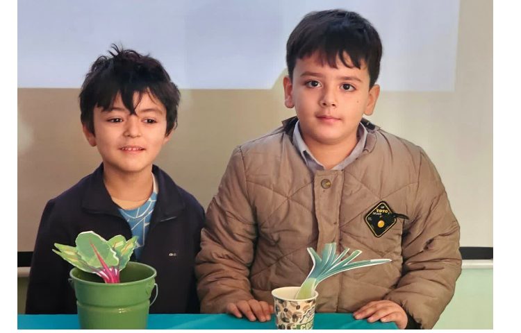 مراحل رشد گیاه 7