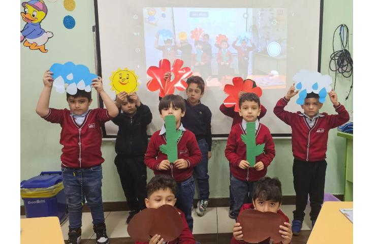 مراحل رشد گیاه