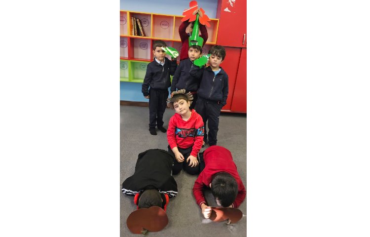 مراحل رشد گیاه