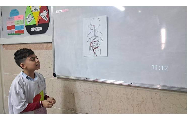 مراحل هضم غذا 1