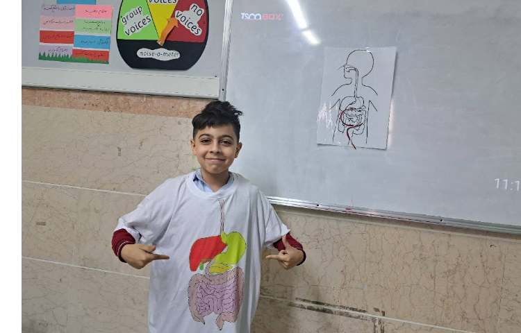 مراحل هضم غذا 2