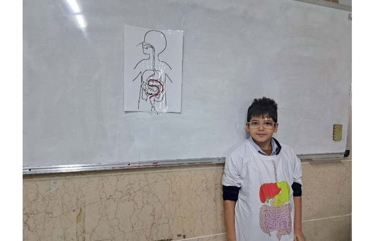 مراحل هضم غذا 3