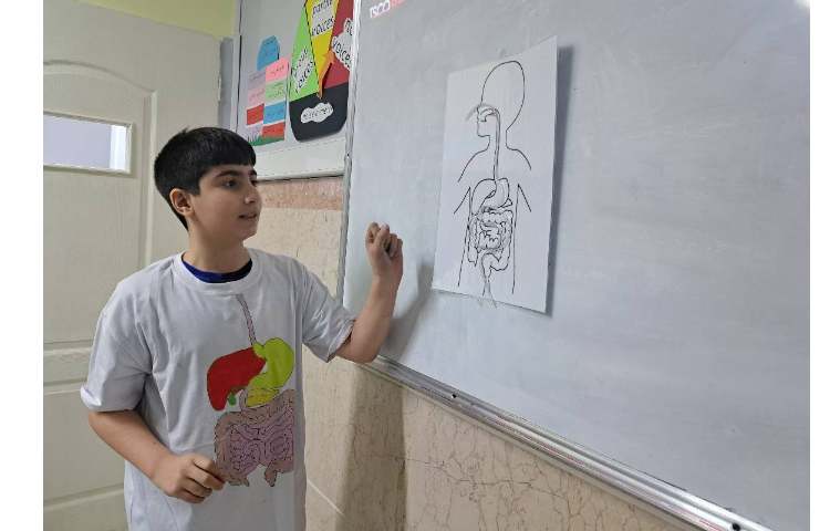 مراحل هضم غذا 4