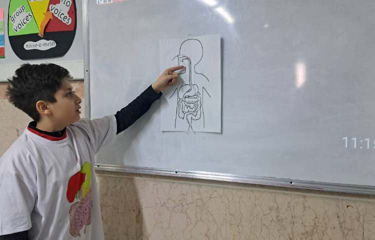 مراحل هضم غذا 5