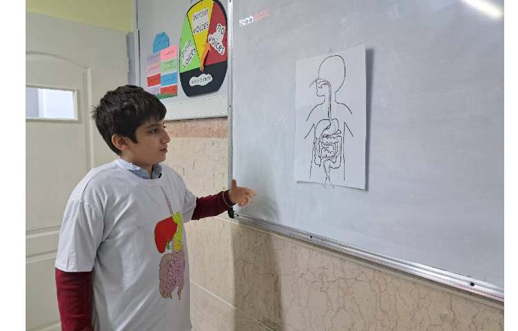 مراحل هضم غذا 7