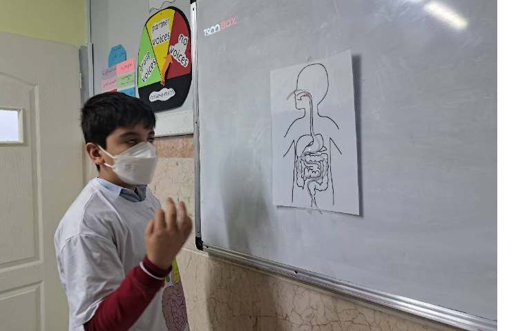 مراحل هضم غذا 8