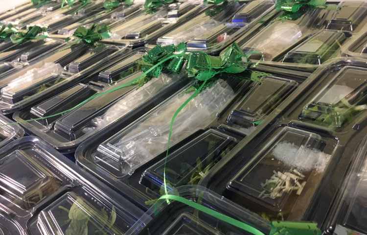 مراسم عزاداری 28 صفر 6