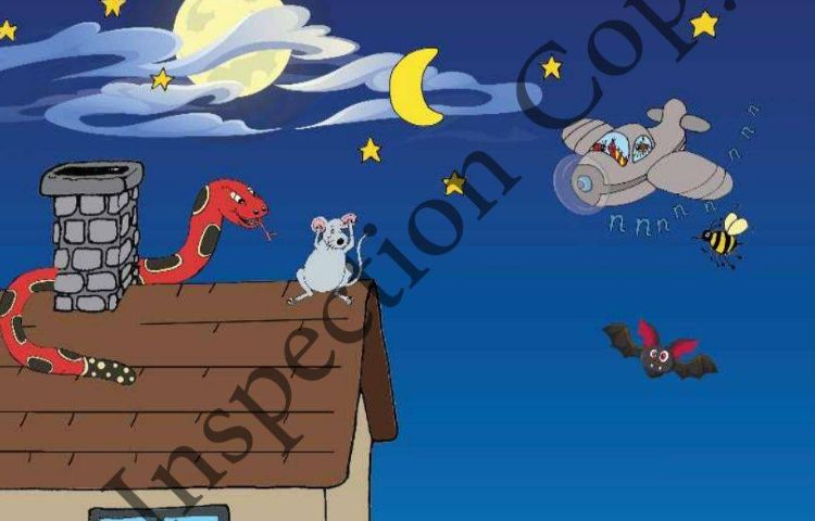 action مربوط به حروف Ss تا Nn