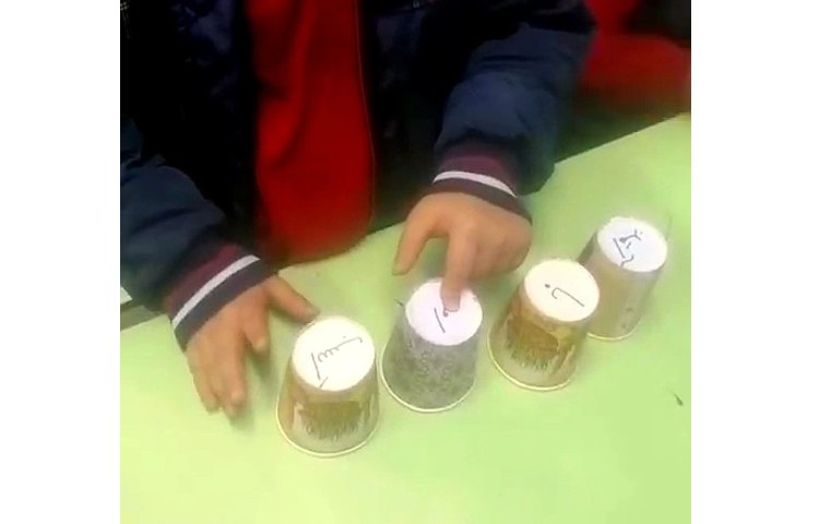 مرتب کردن جملات به هم ریخته 8