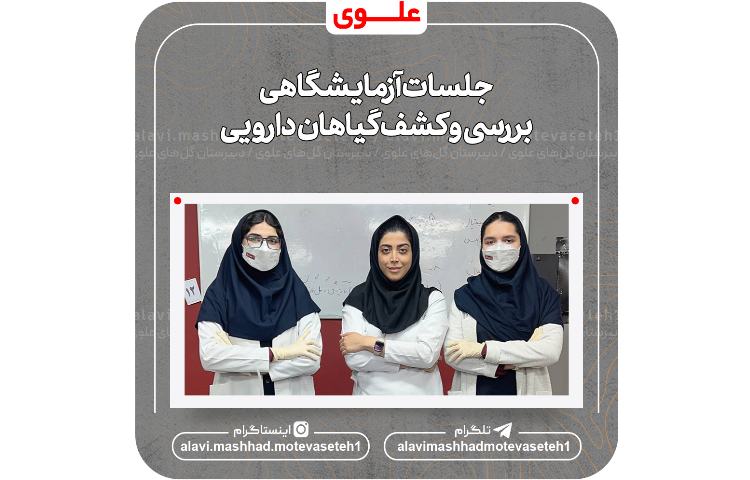 مرحله منطقه ای جشنواره نوجوان خوارزمی 3