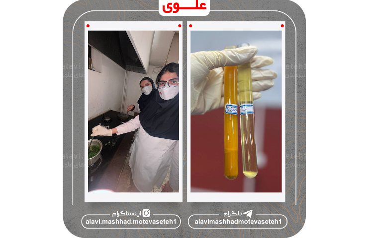 مرحله منطقه ای جشنواره نوجوان خوارزمی 5