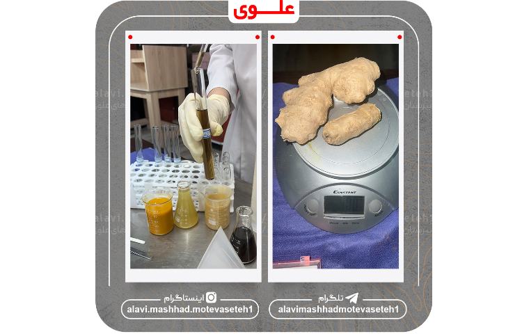 مرحله منطقه ای جشنواره نوجوان خوارزمی 6