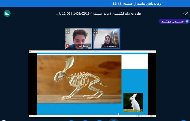 مرور بخش اسکلت 2