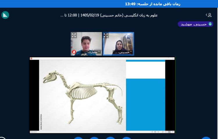 مرور بخش اسکلت