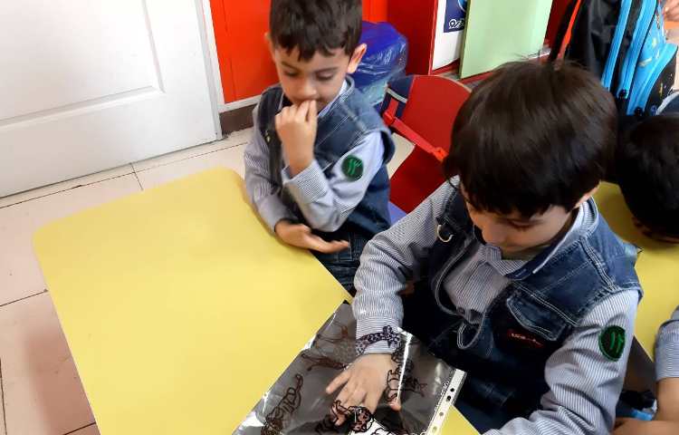 مرور حیوانات همراه با بازی 9