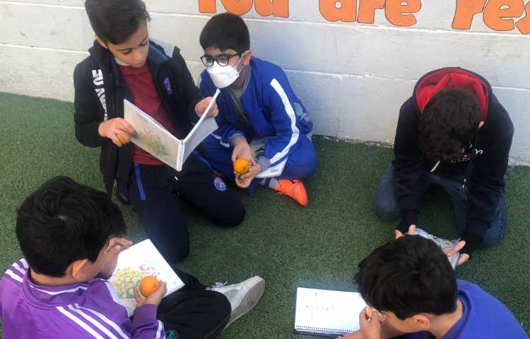 مرور درس 5،6 فارسی در محیط باز 2