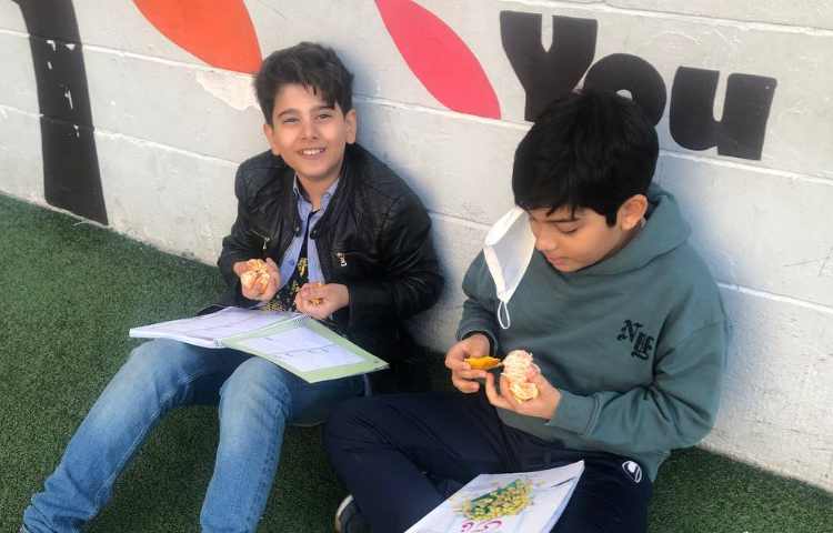 مرور درس 5،6 فارسی در محیط باز