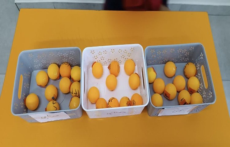 مرور واژگان با بازی گروهی 2