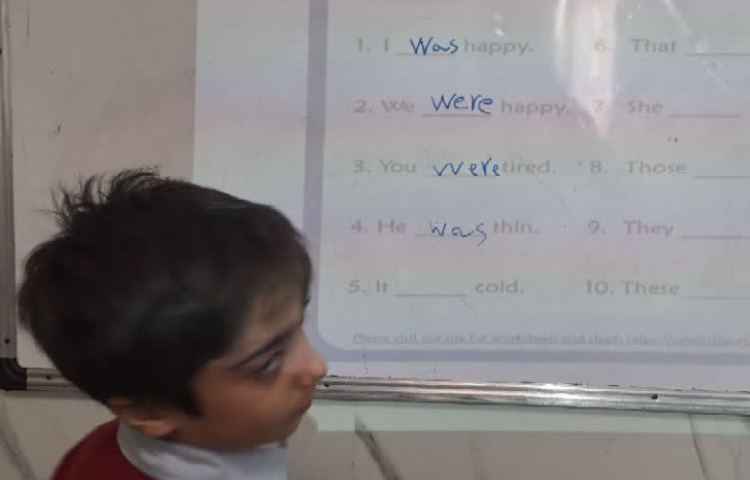 مرور گرامر was ,were 3