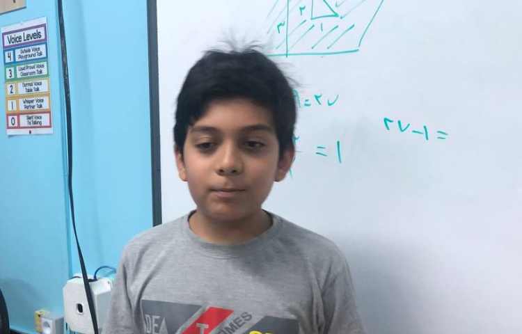 مرور گیاهان تک لپه ای و دو لپه ای 1