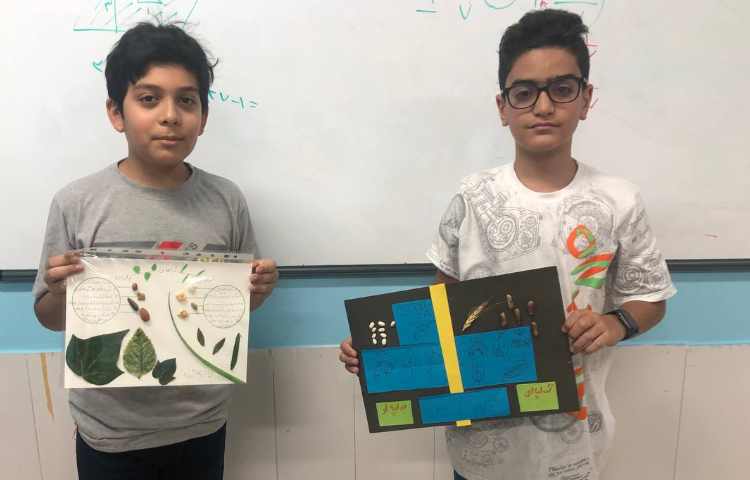 مرور گیاهان تک لپه ای و دو لپه ای 3