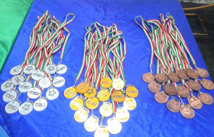 مسابقات المپیاد بین شعب علوی 13