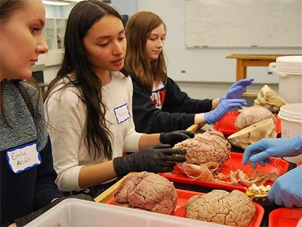 رقابت دانش‌آموزی در مسابقات دانش مغز