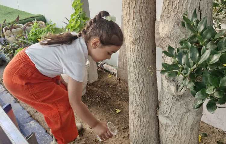 مسابقه آب بازی و آبیاری گیاهان 2