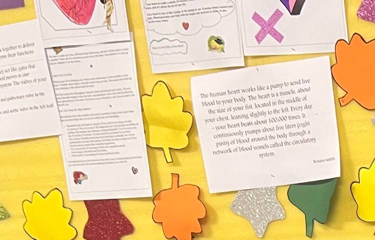 مسابقه خانم ریاضی 3